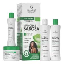 KIT CAPILAR PROFISSIONAL MAMONA E BABOSA 4 PEÇAS- BIO INSTINTO 300ml